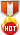 巡查勋章